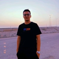 Mostafa Arfa