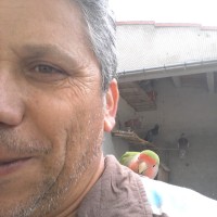 Armindo Manuel Caldeira