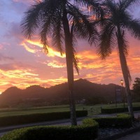 Patricia Franco Baraquiso