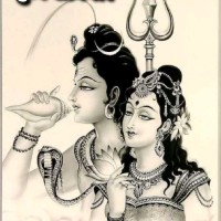 Rohit Yadav