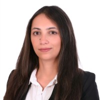 Sherien El-Essawy