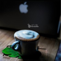 ﮼عرفات﮼ ‎المري
