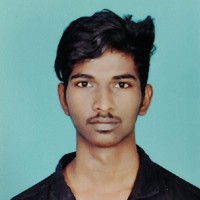 Vigneshwaran K