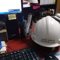 IRWING JUNIOR BARBOZA VILLALOBOS