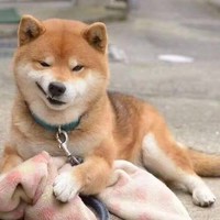 丁思博