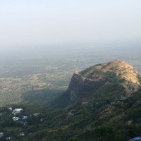 Hardi Sharma