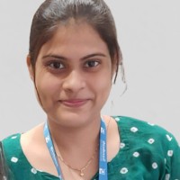 neha wandhare borikar