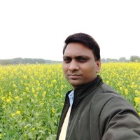 Praveen Maurya