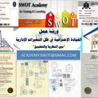 Mohamed SWOT