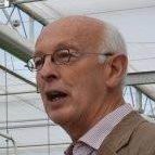 Jan van Muyden