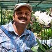 Mahesh Gole