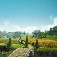 王加民