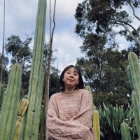 Mei Ting Ng