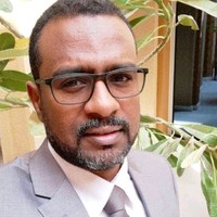 Saad Eldin Gailany