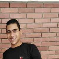 Hussein Gamal