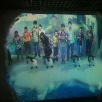魏延峰