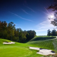 Treetops Marketing