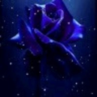 Aman e