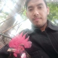 Ade Riswanto