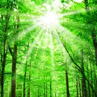 Community Counselling Centre