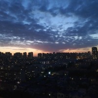 赵福星