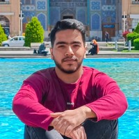 Mohammad Amin Bemani