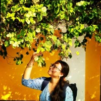 Priyashree Mb