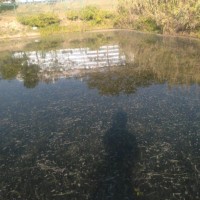 杨永虎