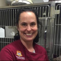 Alison Wardman