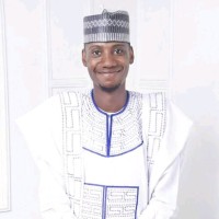 Nnamdi Ogbu