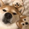w w
