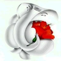 Akash Shah