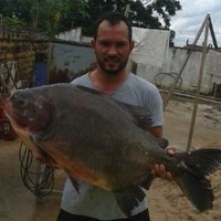 Weverton Guedes