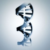 Dual Helix