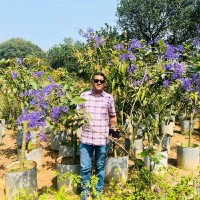 Md Maksudur Rahman