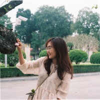 Huyen Chu