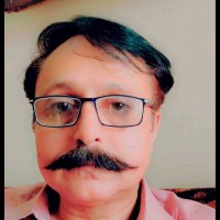 Anees Chishti