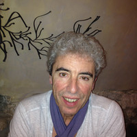 Régis Polverel