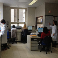 Laboratório Genética Hospital Santa Maria