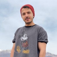 Alireza Mostafavi
