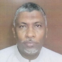 Awad M. Alfadil