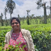 Dr. J. L. Mahiba Robin