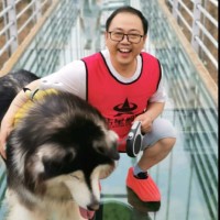 David Ma