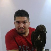 saeid ebrahimy