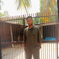 Dr. Prashant Tiwari