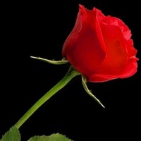 Himanshu Singh