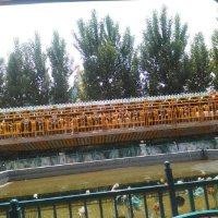 董志闯
