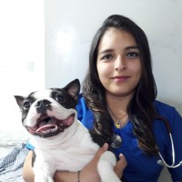 Estefani Rocio Bello Mejia