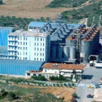 Chalkidiki Flour Mills Sa