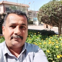 Ali Shareef
